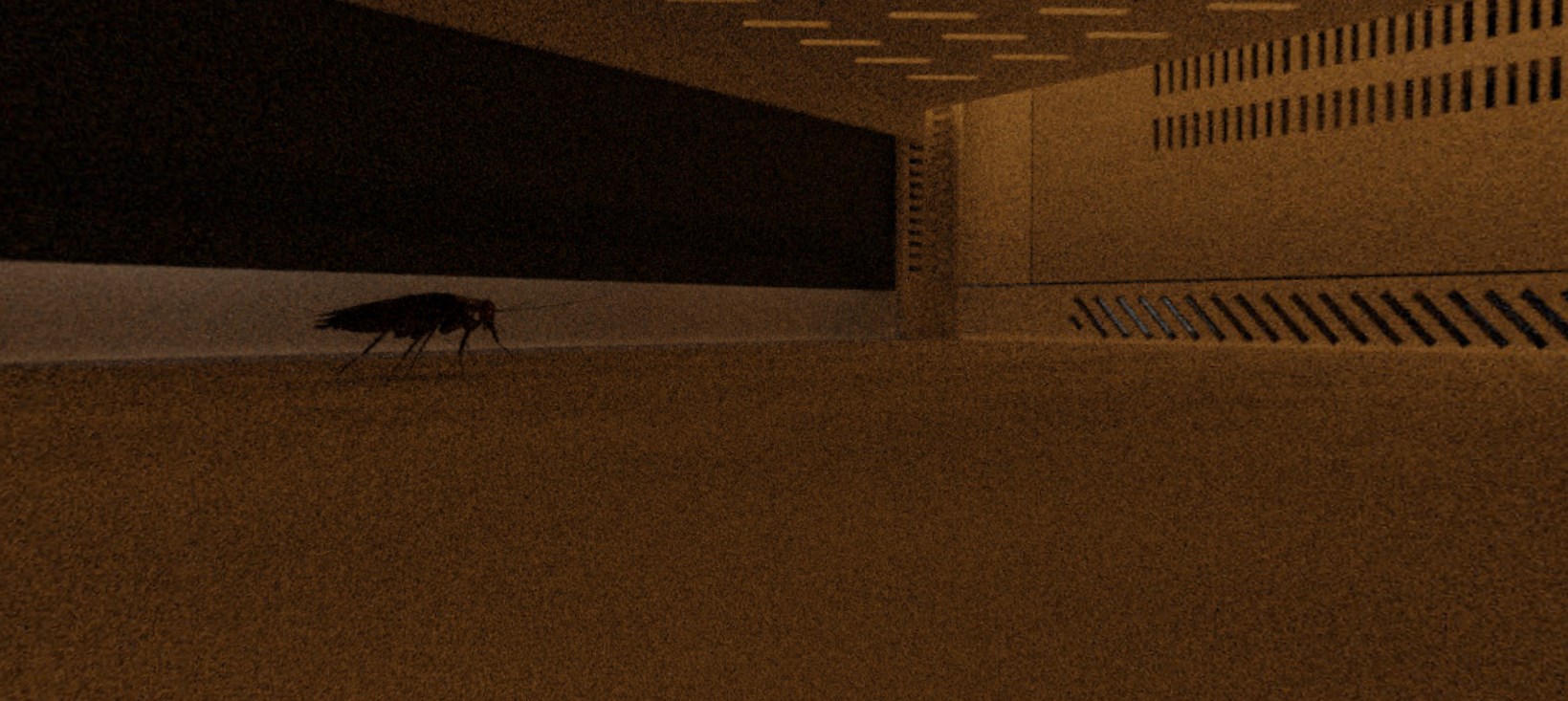 3D panorama: The story of Roaches