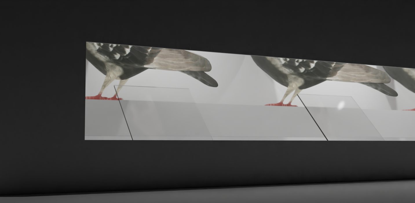 3D panorama: a Pigeon story
