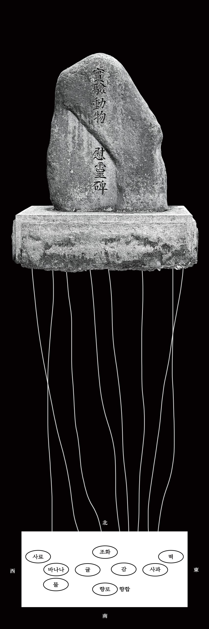 On the Matter of the Experimental Animals’ Memorial